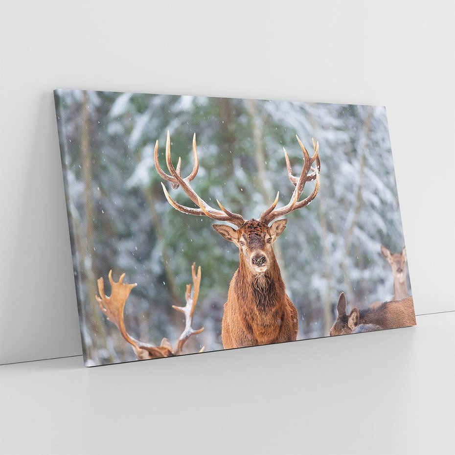 Obraz na płótnie 120x80 - Monarcha Zimowej Dziczy - jeleń, zima