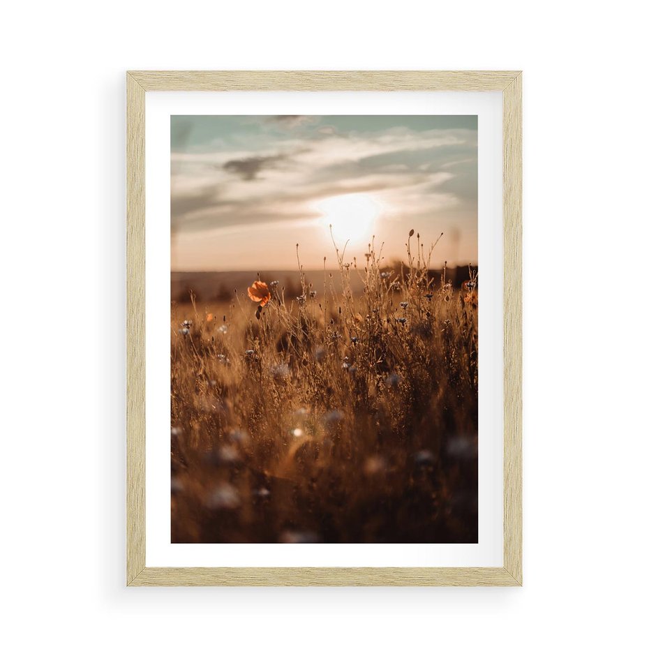 Plakat w ramie 50x70 - Zachwyt zachodem słońca na łące - zachód, słońca - rama drewno