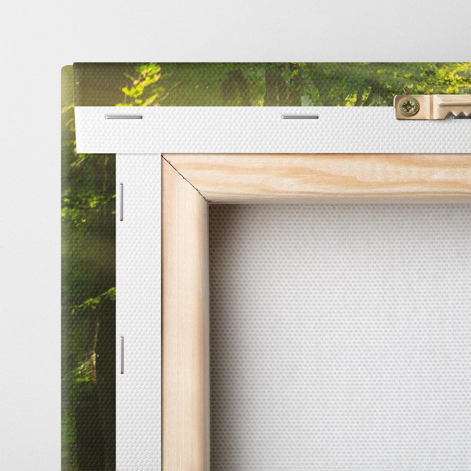 Obraz na płótnie 50x70 - harmonia natury - las, drzewa