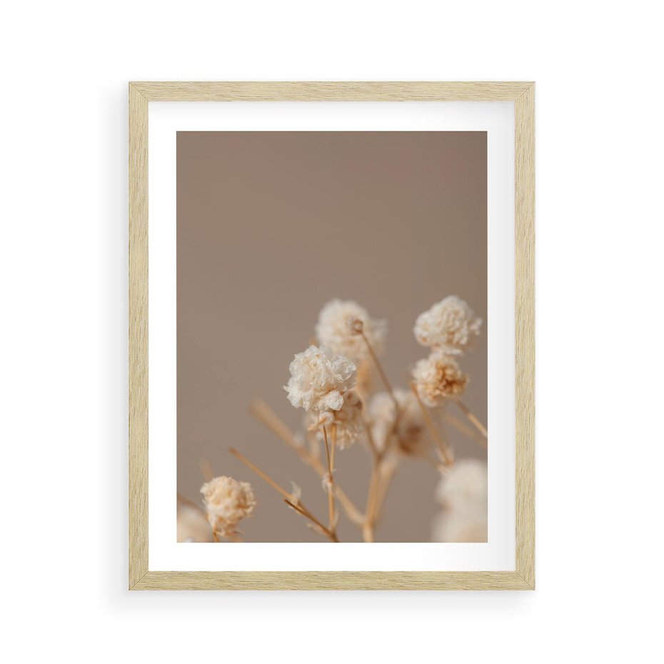 Plakat w ramie 40x50 - Przezroczyste piękno - gipsówka, suche - rama drewno