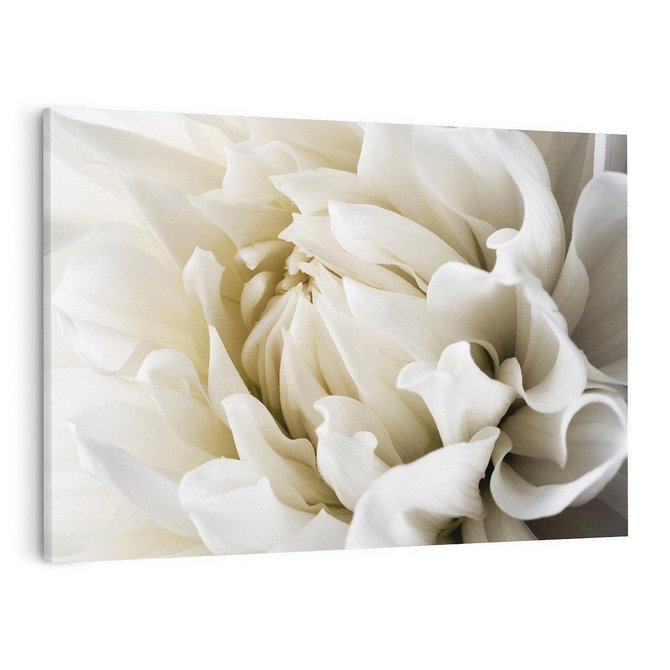 Obraz na płótnie 100x70 - Białe Kwiaty Delikatności - białe, kwiaty