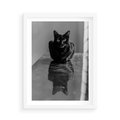 Plakat w ramie 50x70 - Kocie Oczy - kot, czarno białe zdjęcie - rama biała