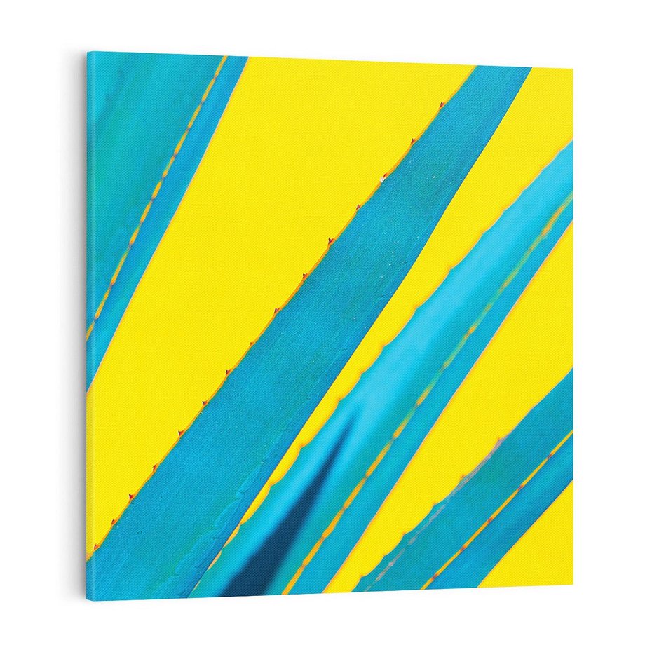 Obraz na płótnie 70x70 - Świeżość Natury - aloes, liście