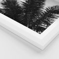 Plakat w ramie 50x70 - Czas Zapomnienia - palmy, czarno biała fotografia - rama biała