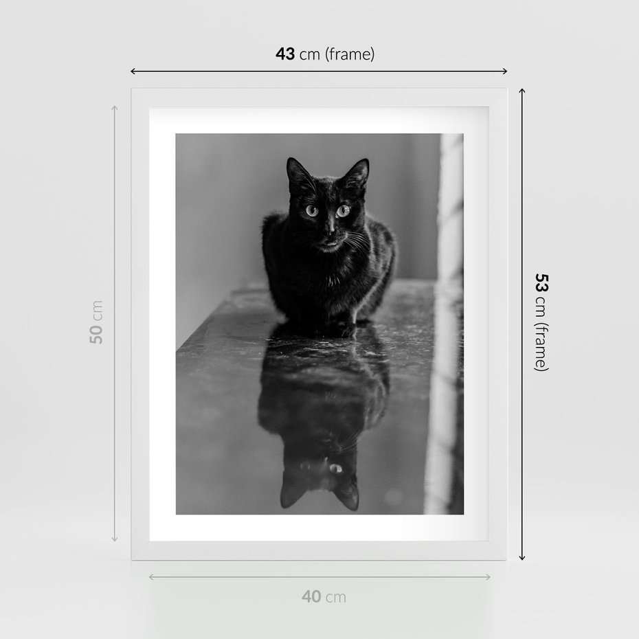 Plakat w ramie 40x50 - Kocie Oczy - kot, czarno białe zdjęcie - rama biała
