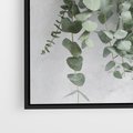 Obraz w ramie 50x50 - Uwodzicielska zieleń eukaliptusa - eukaliptus, zielone - rama czarna