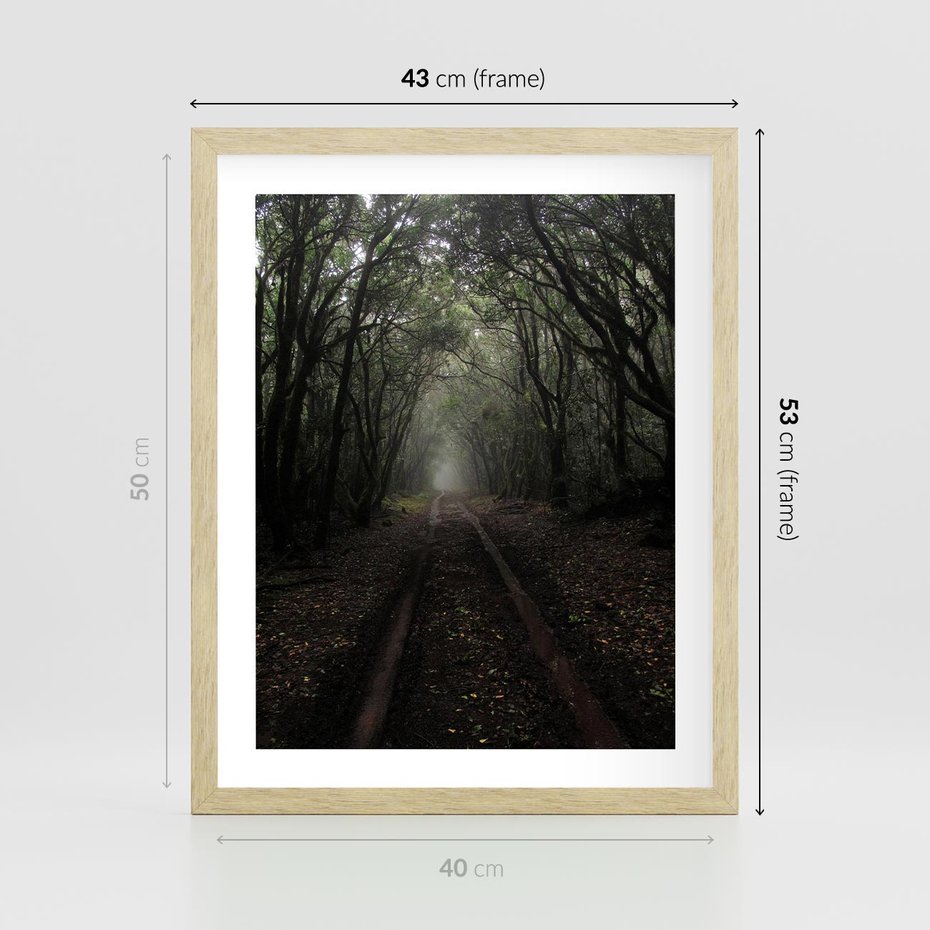 Plakat w ramie 40x50 - Urok Drogi - las, droga - rama drewno