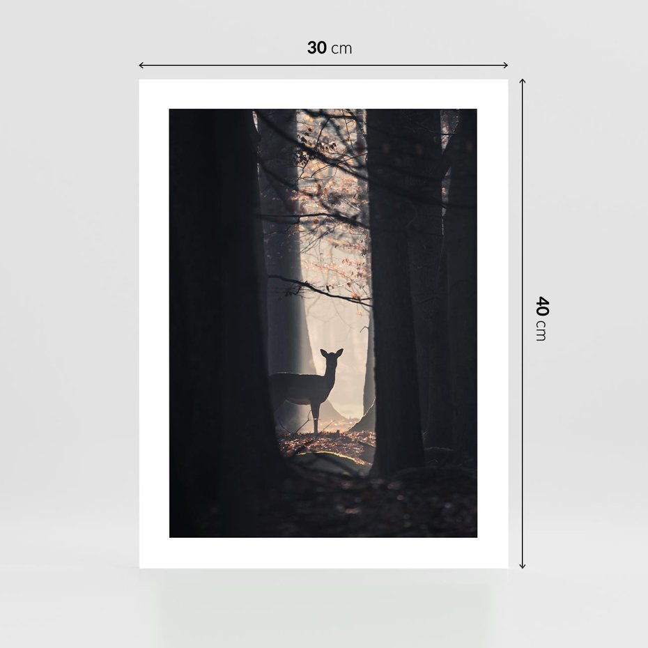 Plakat bez ramy 30x40 - Sarnie Skoki - zdjęcie, klimatyczny las