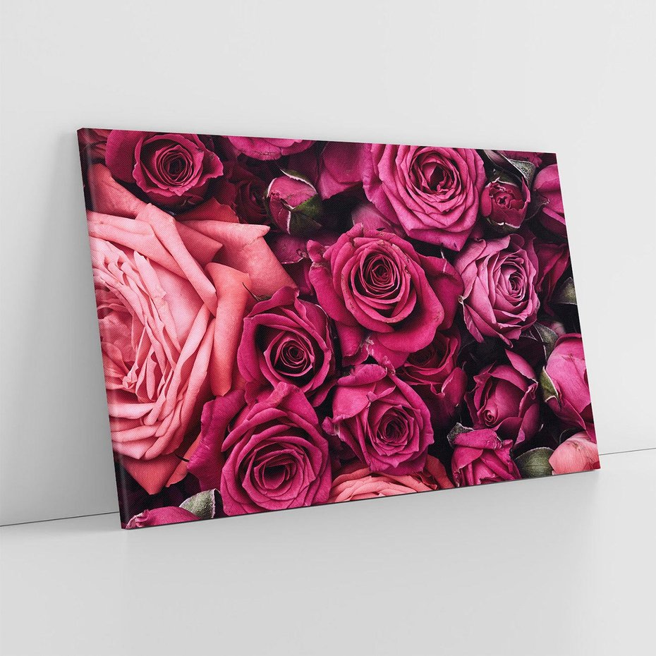 Obraz na płótnie 70x50 - Róże - piękno kwiatów - róże, kwiaty