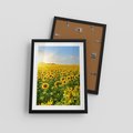 Plakat w ramie 30x40 - Idylla na łące słoneczników - łąka, słoneczniki - rama czarna