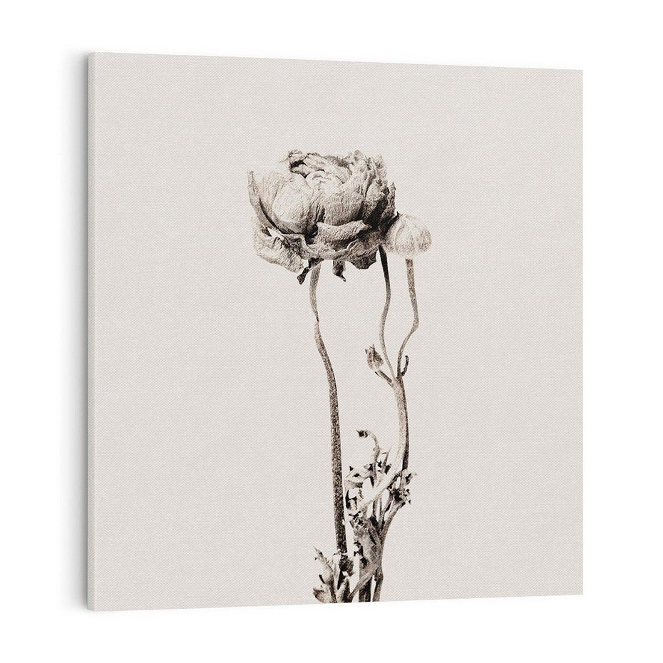 Obraz na płótnie 70x70 - Kwiatowa Symfonia w Szarościach - czarno biała odbitka, jak fotografia