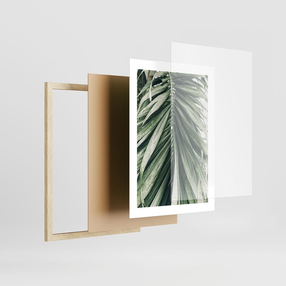 Plakat w ramie 30x40 - Spokojna Piękność Palmowych Liści - palma, liście palmy - rama drewno