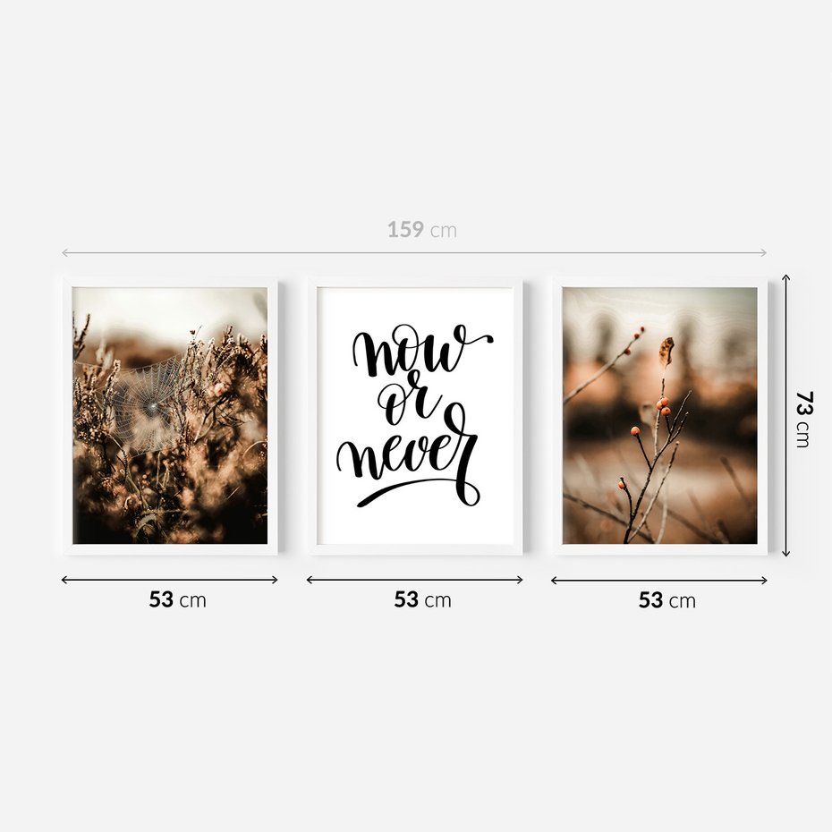 Zestaw obrazy w ramie 50x70 galeria - Boho, cytat, motywacja, trawy - rama biała
