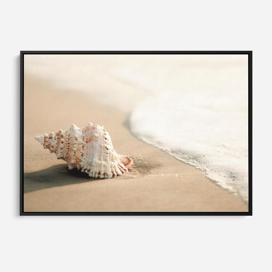 Obraz w ramie 70x50 - Urok plażowej muszelki - fotografia, muszla na plaży - rama czarna