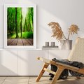Plakat bez ramy 30x40 - Spacer po urokliwej dróżce w lesie - las, dróżka