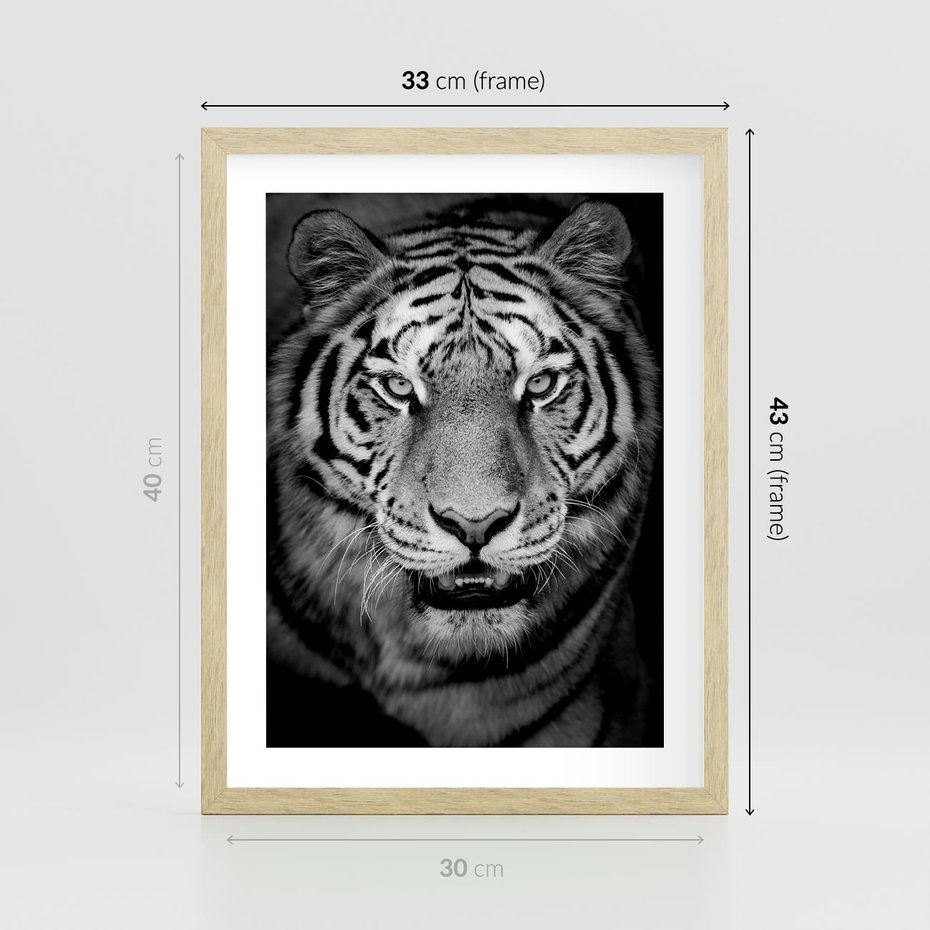 Plakat w ramie 30x40 - Tygrys Czarno-Biały: Siła i Delikatność - tygrys, czarno - rama drewno