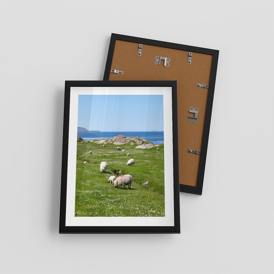 Plakat w ramie 30x40 - Górskie Owce - góry, owce - rama czarna