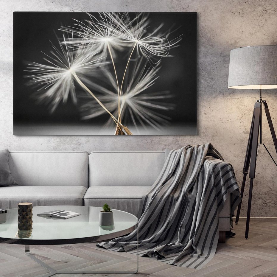 Obraz na płótnie 70x50 - Delikatność dmuchawców zbliżenie - dmuchawce, zbliżenie