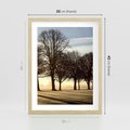 Plakat w ramie 30x40 - Siła natury - drzewa, pole - rama drewno