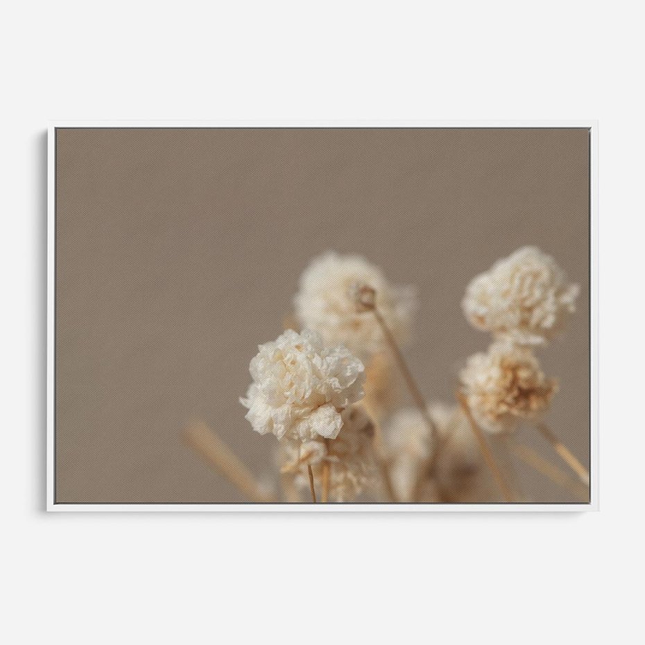 Obraz w ramie 70x50 - Przezroczyste piękno - gipsówka, suche - rama biała