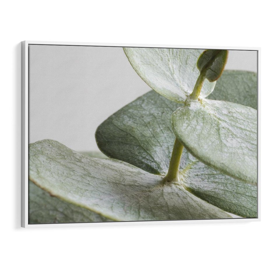 Obraz w ramie 120x80 - Eukaliptusowa zieleń - eukaliptus, zielone - rama biała