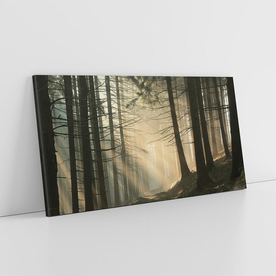 Obraz na płótnie 140x70 - Urok lasu: drzewa w pełnej okazałości - las, drzewa