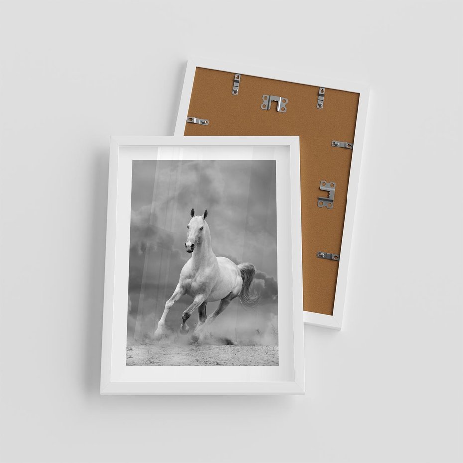 Plakat w ramie 30x40 - Elegancja w Czarno-Białym - koń, biało - rama biała