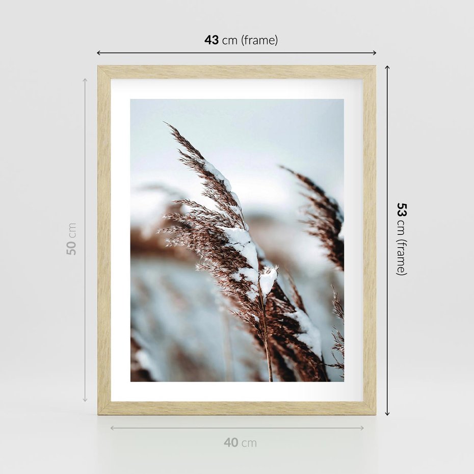 Plakat w ramie 40x50 - Zima na Suchych Trawach - suche trawy, śnieg wysokich na trawach - rama drewno