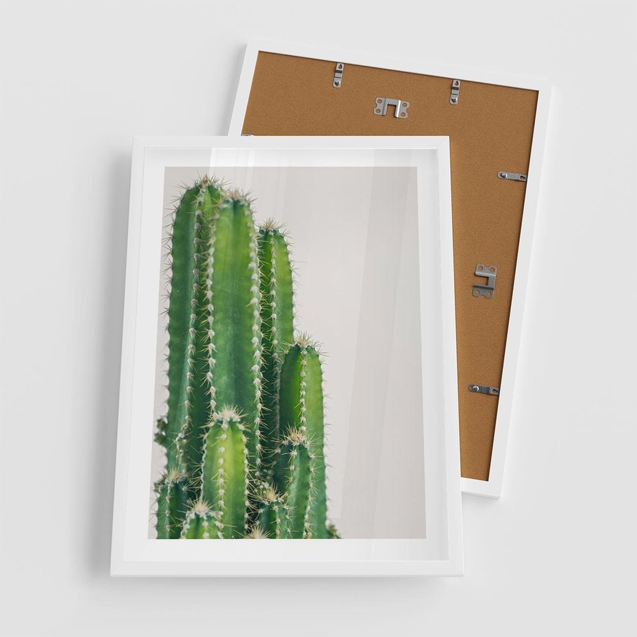 Plakat w ramie 50x70 - Minimalistyczne Kaktusy na Białym Tle - kaktusy, minimalistyczna fotografia - rama biała