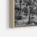 Obraz w ramie 100x70 - Mroczna Ścieżka Tropików - czarno biała fotografia, ścieżka pośród palm - rama drewno