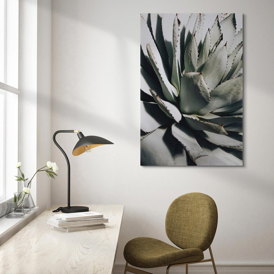 Obraz na płótnie 80x120 - Sukulenty wśród kaktusów - sukulenty, kaktusy