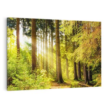 Obraz na płótnie 120x80 - Mistyka lasu - las, drzewa