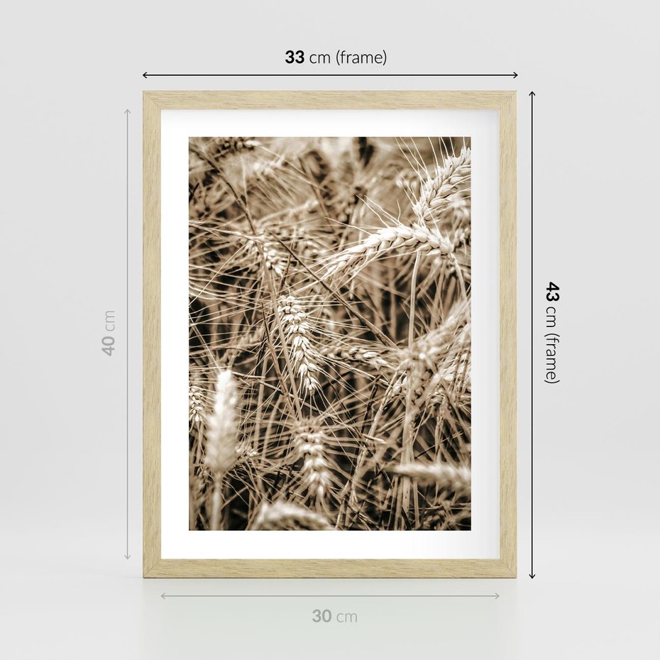 Plakat w ramie 30x40 - Zbliżenie na Kłosy Zboża - zboża, kłosy zboża - rama drewno