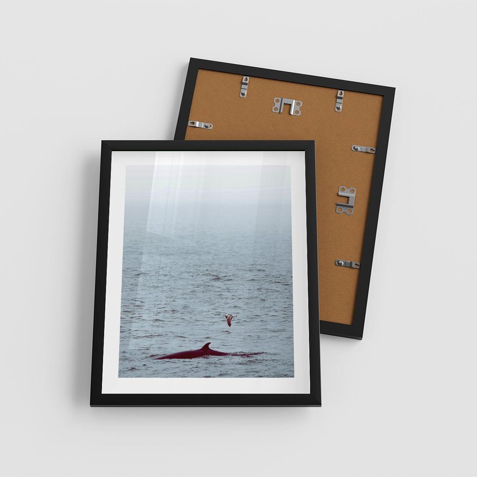 Plakat w ramie 40x50 - Spotkanie z Orką - morze, ocean - rama czarna