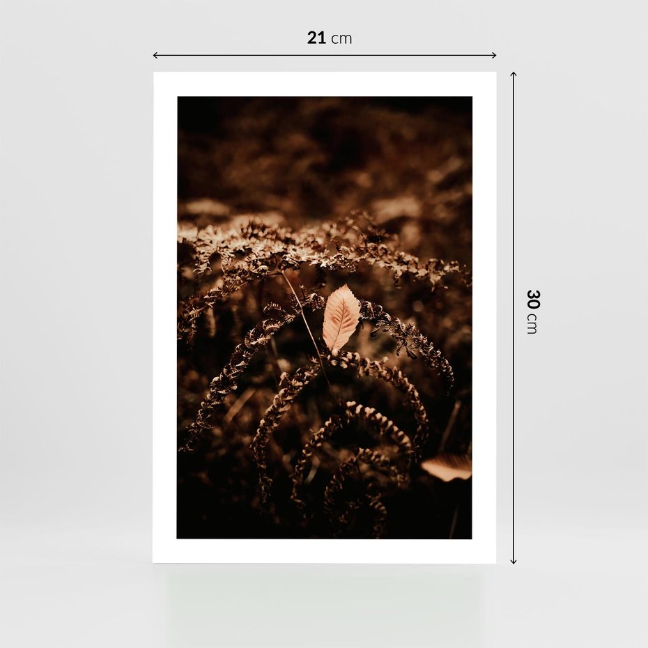 Plakat bez ramy 21x30 - Gałęzie i Liść w Brązowej Tonacji - suche gałęzie, liść