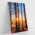 Obraz na płótnie 80x120 - Piękno lasu - las, drzewa