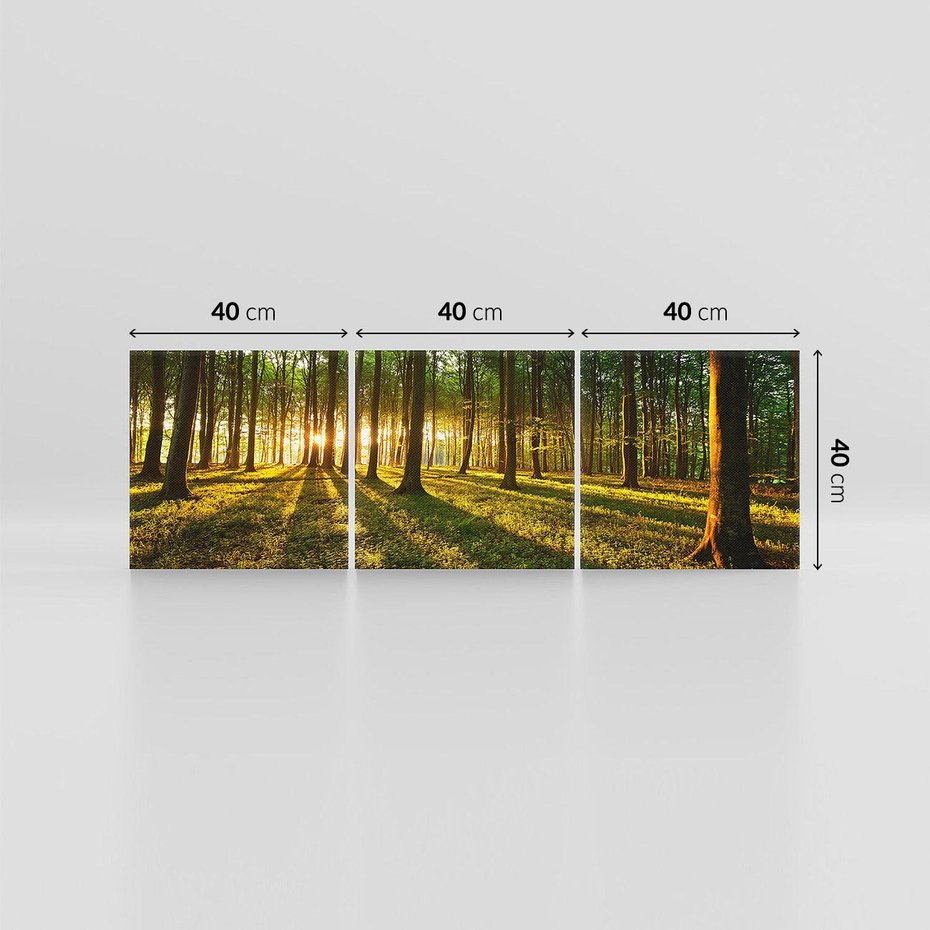 Obraz na płótnie 120x40 - Mistyfikujący urok leśnej głuszy - las, drzewa