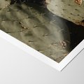 Plakat bez ramy 21x30 - Urok Egzotyki - kaktusy, boho