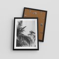 Plakat w ramie 30x40 - Palmy w Monochromii - palmy, tropikalne palmy - rama czarna