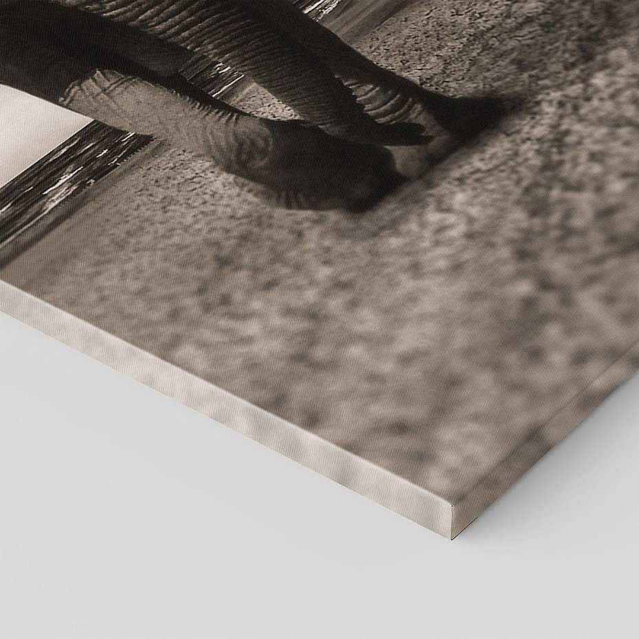 Obraz na płótnie 70x100 - Słoń - Wielki Przyjaciel Morza - słoń, plaża