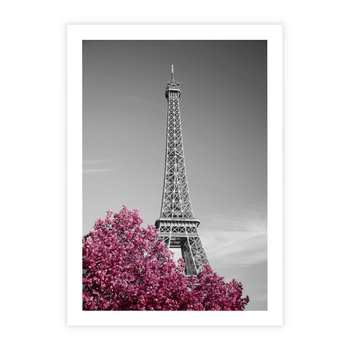 Plakat bez ramy 40x50 - Różowy Paryż - czarno białe zdjęcie, wieża eiffla