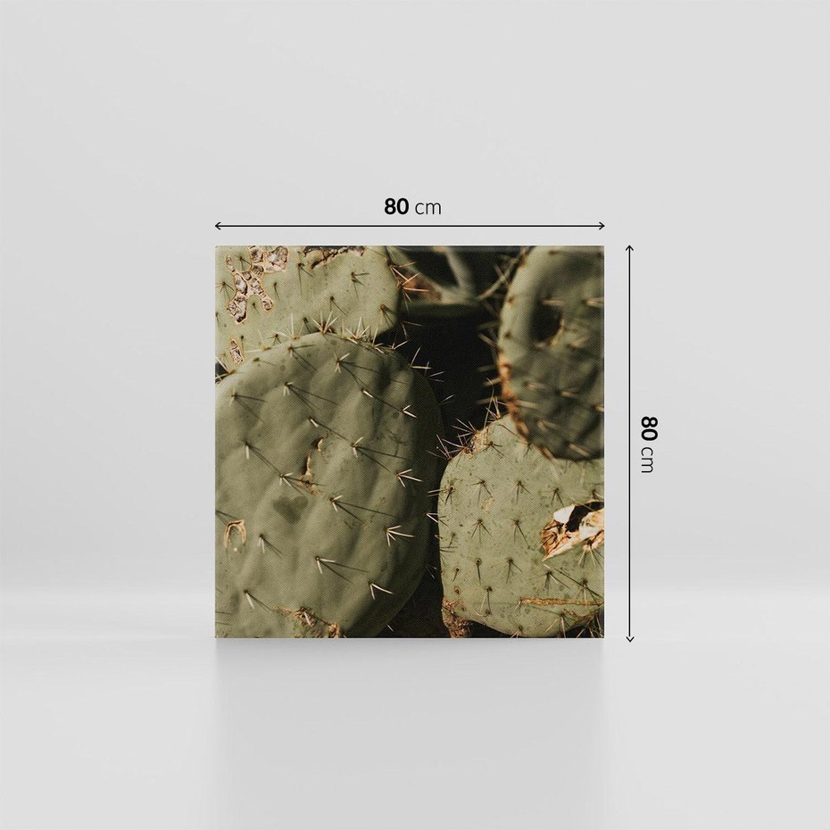 Obraz na płótnie 80x80 - Urok Egzotyki - kaktusy, boho
