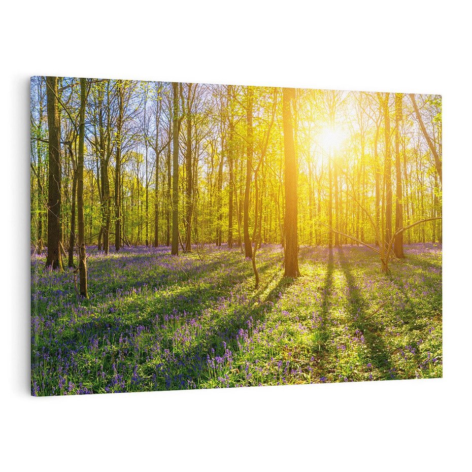 Obraz na płótnie 100x70 - Uroda lasu: harmonia drzew - las, drzewa