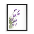 Plakat w ramie 50x70 - Delikatny Urok - lawenda, kwiaty - rama czarna