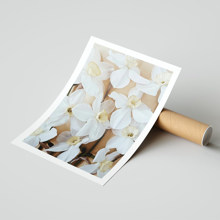 Plakat bez ramy 30x40 - Białe Narcyzy - narcyzy, kwiaty