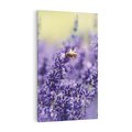 Obraz na płótnie 70x100 - Magia lawendy delikatne kwiaty - lawenda, kwiat
