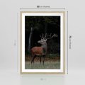 Plakat w ramie 50x70 - Spotkanie z naturą - jeleń, las - rama drewno