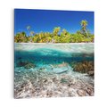 Obraz na płótnie 60x60 - Tropikalne Morze i Kolorowa Rafa - tropikalne, morze