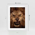 Plakat w ramie 30x40 - Władca Sawanny - lew, sawanna - rama biała