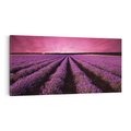 Obraz na płótnie 120x60 - Pola lawendy w pełnym rozkwicie - Lawenda, krajobraz
